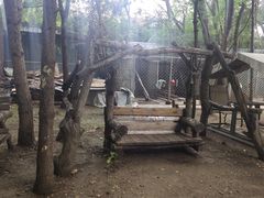 -大鹅岛绿色生态美食园