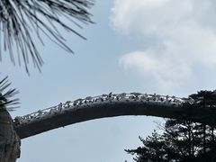 -罗田天堂寨风景区
