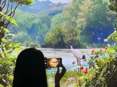 -中国湿地博物馆