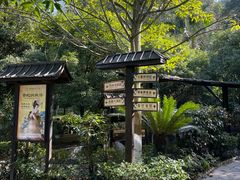 -明月山天沐温泉度假村