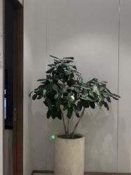 -禾丽康美医疗美容医院