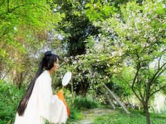 -南山植物园
