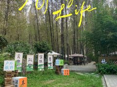 -林间山庄