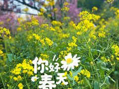 -苏州上方山国家森林公园