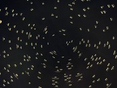 -张之洞与武汉博物馆