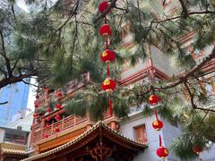 -大佛寺高级素食自助餐厅