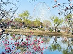 -无锡蠡湖国家湿地公园-蠡园