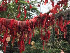 -广州都市观光巴士(粤陶巴)