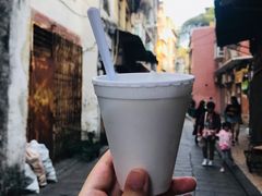 -洪馨椰子