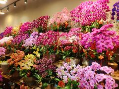 -双季花艺园艺市场(浦东店)