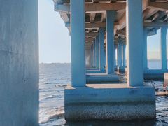 -宝安西湾红树林湿地公园