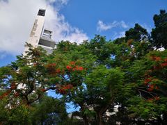-九龙公园