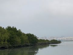 -盐洲岛