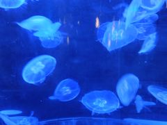 -湾景餐厅(海洋公园店)