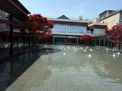 -金鸡湖景区