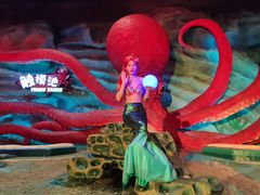 -青岛嘉年华主题乐园