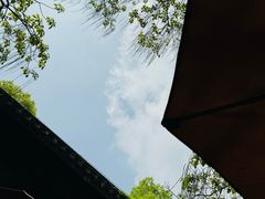 -云栖竹径