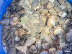 -刘家湾赶海园
