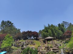 -秀丽东方