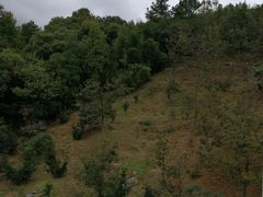 -杭州天目山静雅居农家乐