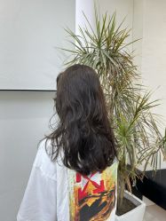 -FINE HAIR 烫染专业设计