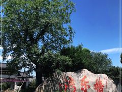 -嬉乐湾休闲旅游区