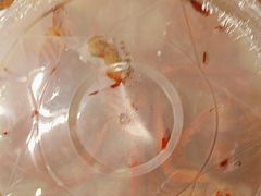 -王红军龙虾(新民路店)