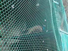 -茗荔园农庄(大涌店)