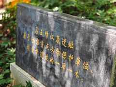 -马王堆汉墓遗址