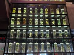 -广东中医药博物馆