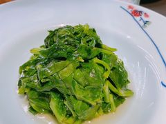 清炒豌豆尖儿-晟永興烤鸭店(五道口店)