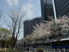 -新天地活力PARK