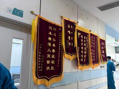 -中农国际动物医院24小时·猫科·骨科·急重症中心