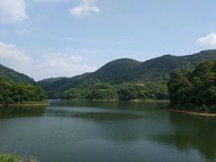 -广州市石门国家森林公园