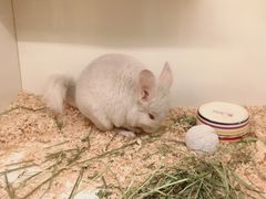 -龙猫仔乐园(惠福东路店)