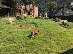 -无锡动物园·太湖欢乐园