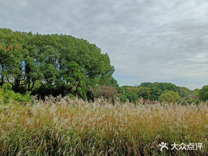 蠡湖大桥公园图片