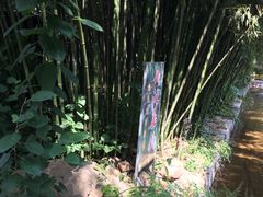 -竹泉村旅游度假区