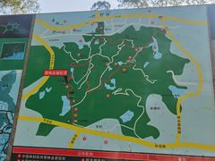 -火炉山森林公园