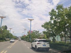 -特克斯八卦城