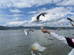 -海埂大坝