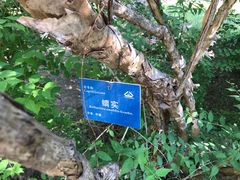 -国家植物园南园