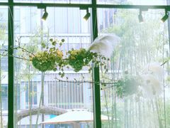 -FOUNT创意日料