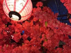 -探花·意境江南菜·唐伯虎文化体验店·松鼠桂鱼(观前店)