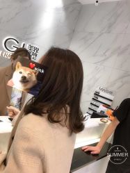 -MAGI美界造型