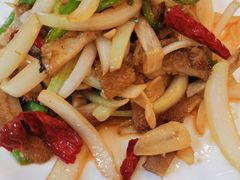 风味大盘牛肚条-新疆兵团食府清真(马连道店)