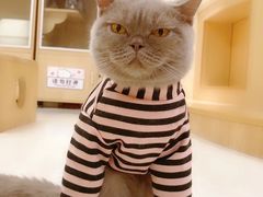 -猫和宫(六道口店)