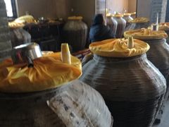 -爱新觉罗皇家博物院
