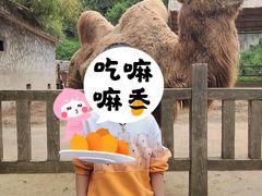 -贵州森林野生动物园