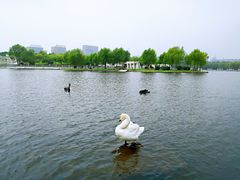 -长春世界雕塑园冰雪艺术天地